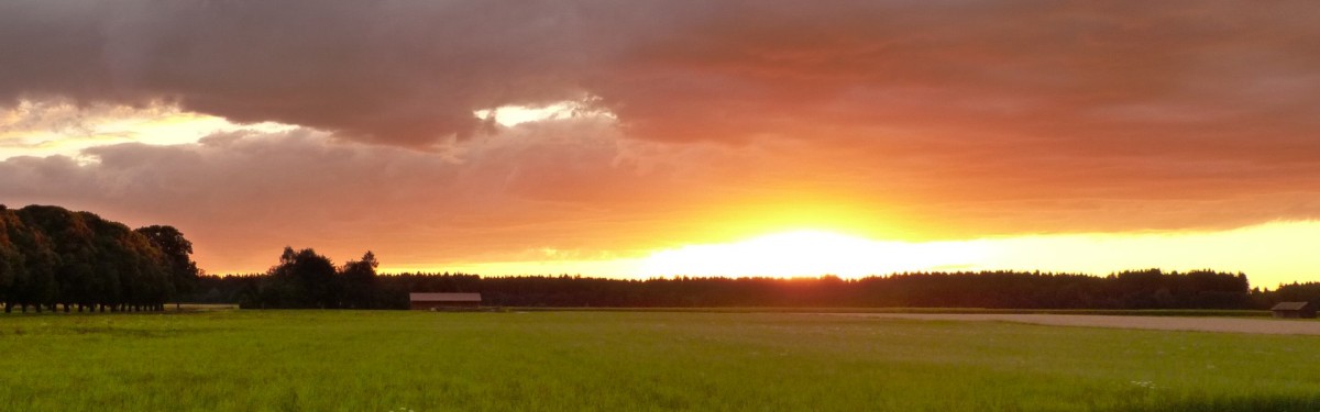 Schnell wirksamer Klimaschutz mit Solarthermie